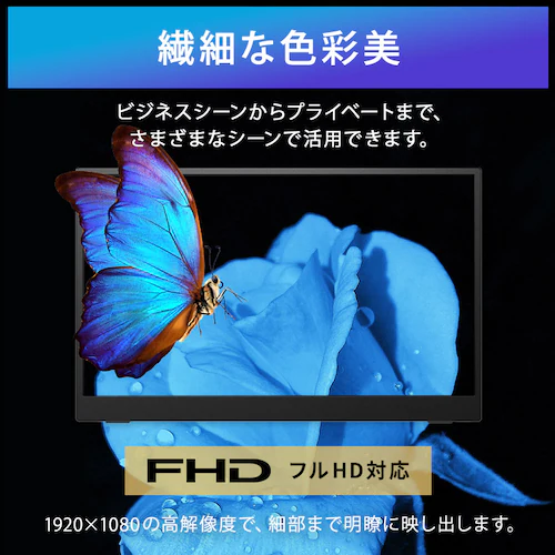 ポータブルモニター DP-GF166S-B ブラック_10