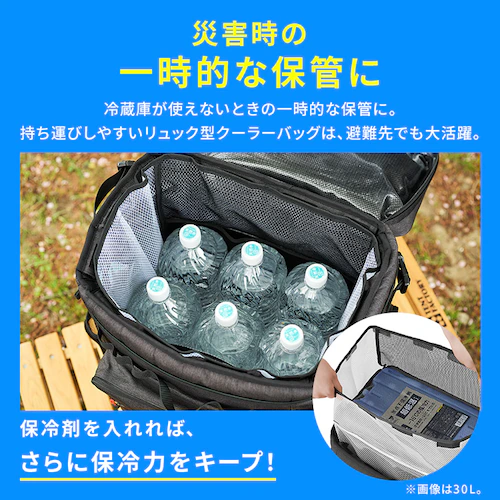 HUGEL �G�A���Q�������b�N�^�N�[���[�o�b�O 15L AGSC-R15C �`���R�[���O���[_13