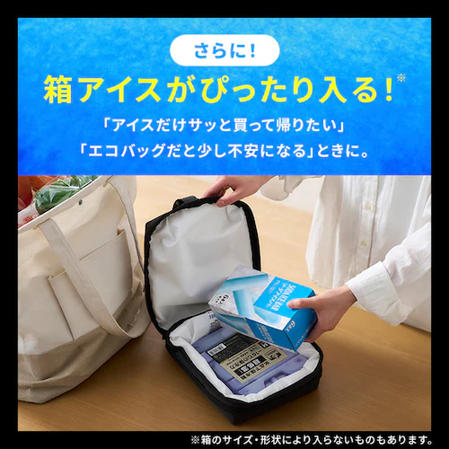 �g�t�f�d�k �G�A���Q���o�b�O�C���N�[���[�o�b�O 3L AGSC-I3C �`���R�[���O���[_4