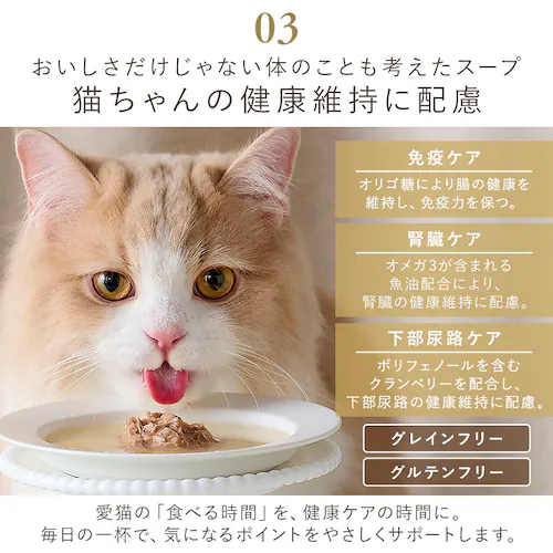 美食メニュー スープ まぐろ P-40SM×12P_7