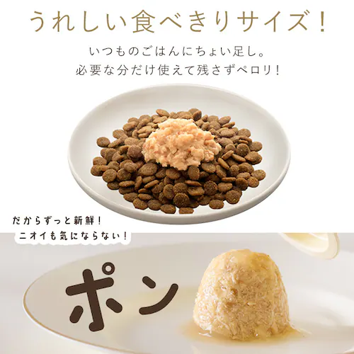 美食メニュー プチ まぐろ P-22PM×4P _3