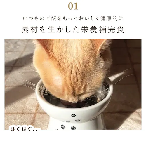 美食メニュー プチ まぐろ P-22PM×4P _5