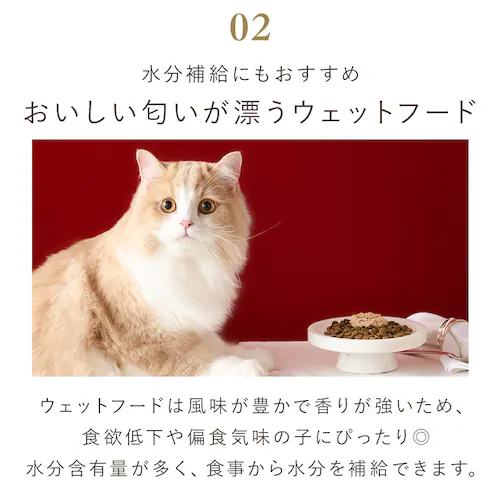 美食メニュー プチ まぐろ P-22PM×4P _7