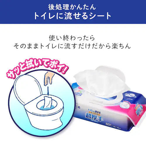 ���t�B�[�� �g�C���ɗ����邨����ӂ� ������ FOSR-80_1