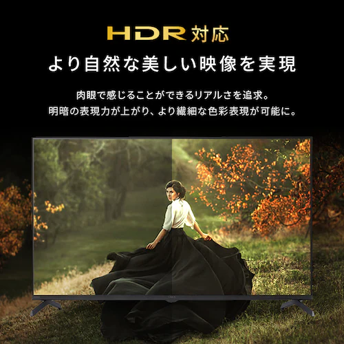 4K スマート液晶テレビ 43V型 LT-43UGX-G1 ブラック_4