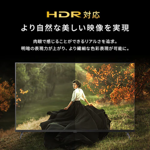4K スマート液晶テレビ 50V型 LT-50UGX-G1 ブラック_4