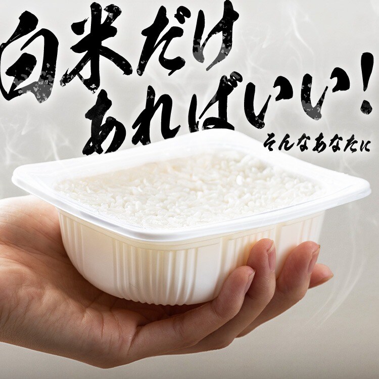 低温製法米のおいしいごはん 150g×40パック 1901912 │アイリス