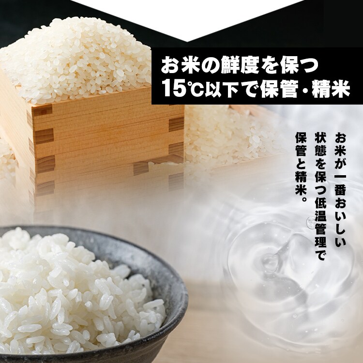 低温製法米のおいしいごはん 150g×40パック 1901912 │アイリス