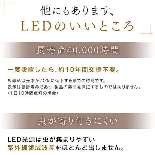 �y2�Z�b�g�z LED �V�[�����O���C�g 8�� ���� ���F �H��E�H���s�v �����R���t�� 5�N�ۏ� CL8DL-5.1JM_13