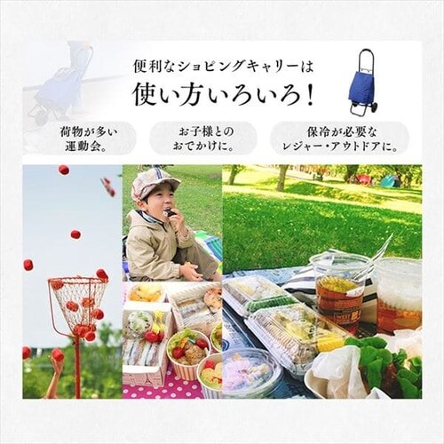 �V���b�s���O�L�����[�R�ց��g�[�g�Z�b�g SHPC-330B �S7��_10