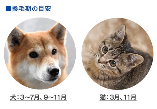 �y�y�b�g�p�����Y�t�B���^�[�t���z��C����@�k�z�R���Z���T�[�t�l PMAC-100-S �z���C�g�^�O���[_10