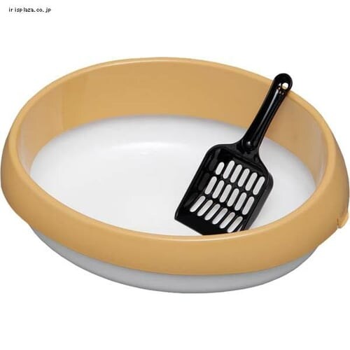 �y3�_�Z�b�g�z�X�����L���b�g�P�[�W3�i + �l�R�̃g�C��390 + �����̔L�� 7L_4