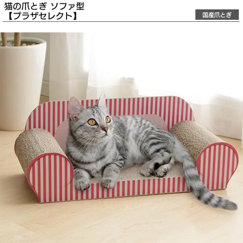 �y�X�^�[�^�[ 5�_�Z�b�g�z�y�b�g�P�[�W 3�i PEC-903 �z���C�g �L�p_4