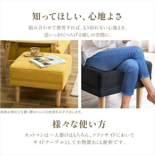 1�l�|���E�b�h�t���[���\�t�@ WFS-1S�ƃI�b�g�}�� WFS-OT��2�_�Z�b�g �S3�F_3