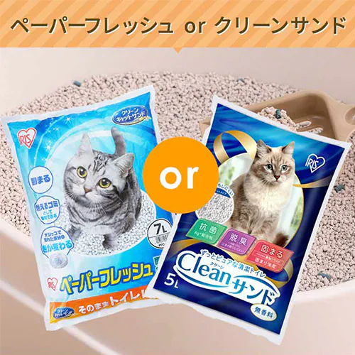 �y�L�p�X�^�[�^�[3�_�Z�b�g�z�g�C����̌^�P�[�W �E�y�b�g�L�����[�E�y�[�p�[�t���b�V��_3