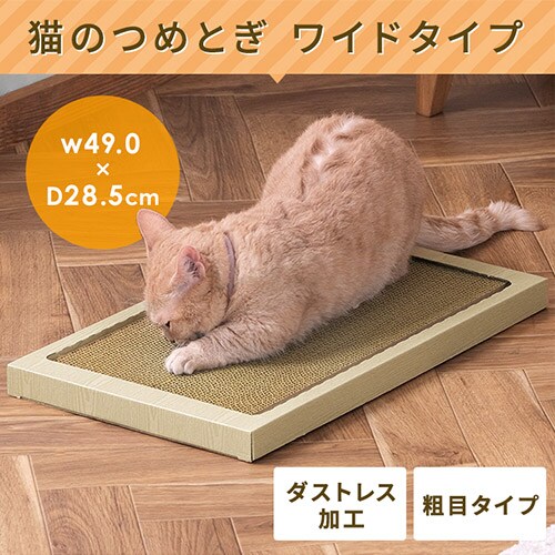 �y�L�p�X�^�[�^�[5�_�Z�b�g�z�R���p�N�g�L���b�g�P�[�W(�i�`������)�E�L�g�C���E�����@�E�܂Ƃ��E�L�����[_5