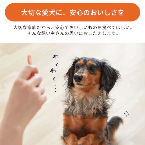 まるごとささみジャーキー 260g プレーン P-IJ-HSE260 犬 おやつ【代引き不可】_2