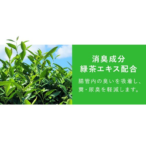 �y36�p�b�N�z���H���j���[ �܂���E���� ���炷���� 60g�~3P P-60S�~3P_9