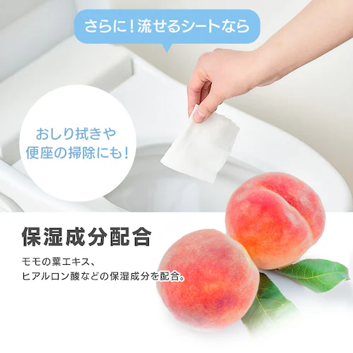 お試しセット ウェットティッシュ_9