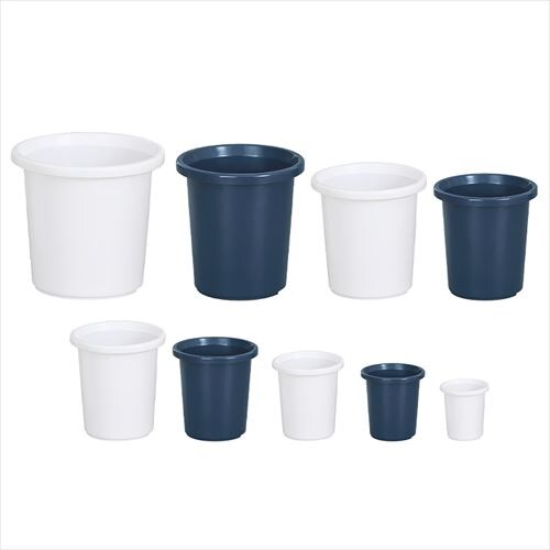 �e�B���g�P���K�C�� 8�� �z���C�g_2