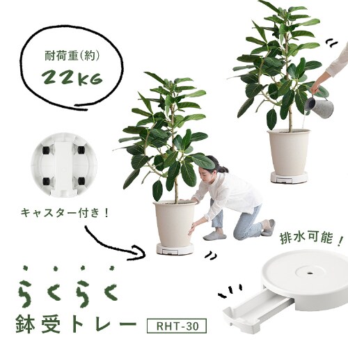 �炭�炭����g���[ RHT-30 �z���C�g_2