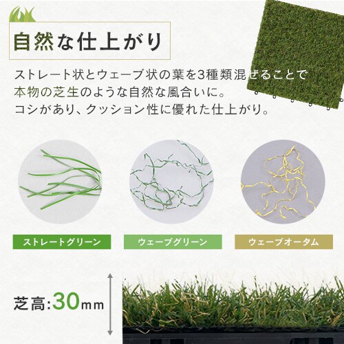 �y9�Z�b�g�z�l�H�� �^�C���f�b�L �W���C���g�� ATD-300_4