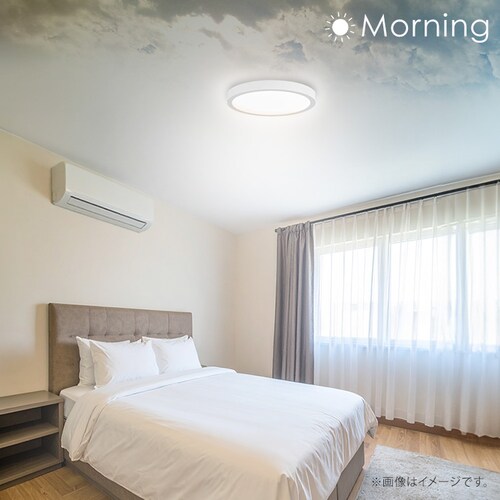 �p�l�����C�g�t���b�g 6�� CLP-6DL_3