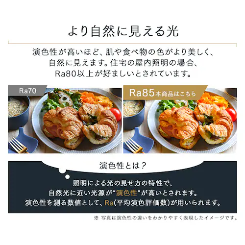 LED �V�[�����O���C�g 8�� ���� ���F �H��E�H���s�v �����R���t�� 5�N�ۏ� CLP-8DL_14