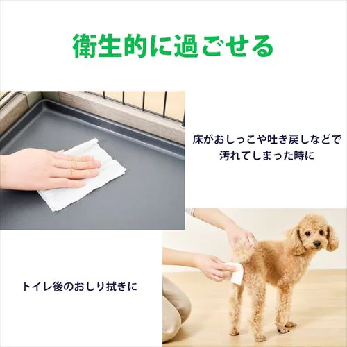 �y1920���z�_�Ȃ߂Ă����S�^�m���A���R�[�� ������ �y�b�g�p�E�F�b�g�e�B�b�V���W�o�~3�Z�b�g_4