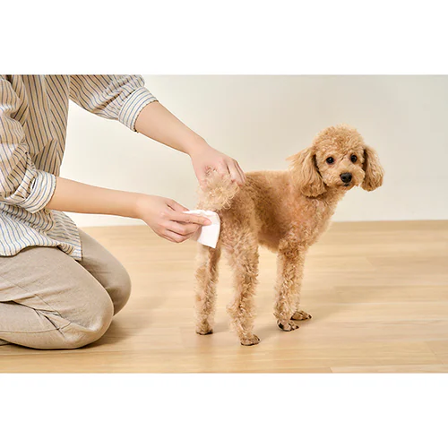 �y25���z�y�b�g�p�{�f�B�^�I���P�o DBWT-1P  25�� �E�F�b�g�^�I��_4