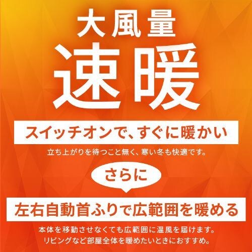 �Z���~�b�N�q�[�^�[ �啗�� ��U�� ���J�� ACH-LDSW12A-W �z���C�g_2