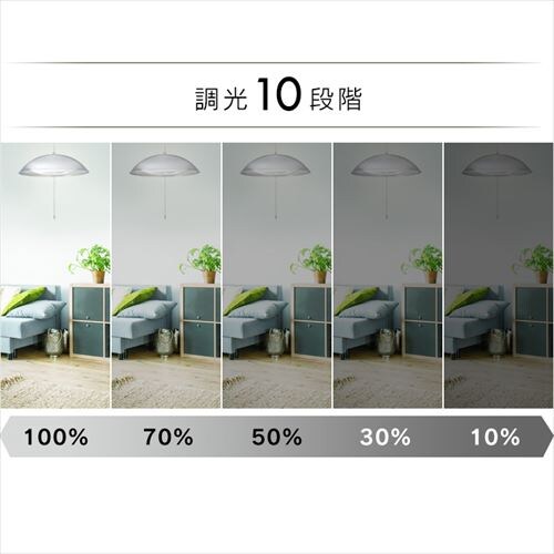 LED �y���_���g���C�g 8�� ���� �H��E�H���s�v �����R���t�� 5�N�ۏ� PL8D-YA2_5