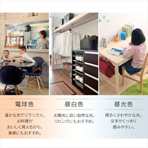 LED �y���_���g���C�g 12�� ���� ���F �H��E�H���s�v �����R���t�� 5�N�ۏ� PL12DL-YA2_6