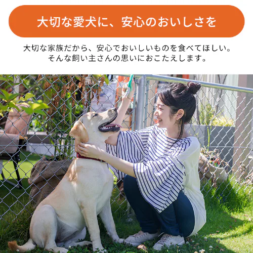 まるごと肉巻きジャーキーミルクガム 5本 P-IJ-GTM5犬 歯磨き おやつ デンタルケア【代引き不可】_2