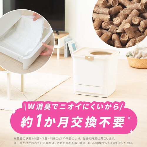 �_��1�������̃X�^�[�^�[�Z�b�g�^���N���[�� ���L�V�X�e���g�C�� �ォ��^�C�v �z���C�g/�x�[�W�� RSTU-43 (���L�T���h �؍��i�傫�߁j2.2L/���L�V�[�g 4�� �t���j_2