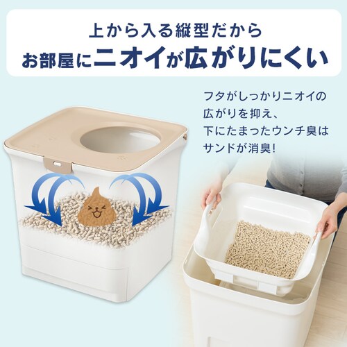 �_��1�������̃X�^�[�^�[�Z�b�g�^���N���[�� ���L�V�X�e���g�C�� �ォ��^�C�v �z���C�g/�x�[�W�� RSTU-43 (���L�T���h �؍��i�傫�߁j2.2L/���L�V�[�g 4�� �t���j_3