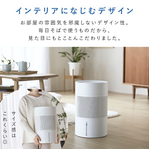 �C���������� enemist �G�l�~�X�g AHM-MVU55A-H ���C�g�O���[_12