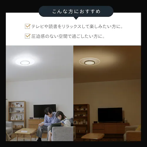 �p�l�����C�g���ʔ��� 12�� CEK-12DLPKH_3