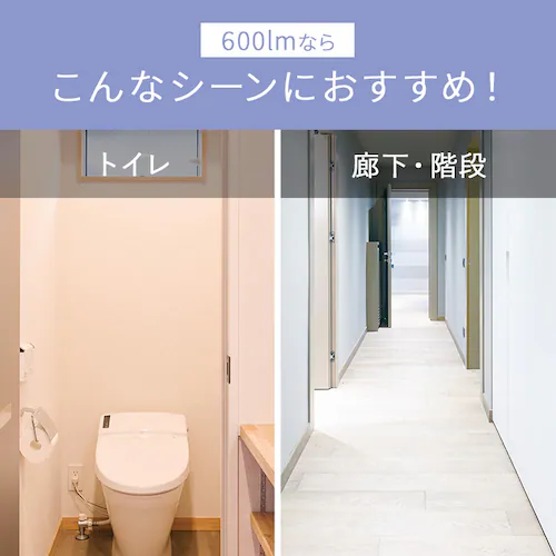 小型シーリング 600lm 昼光色 人感有り SCL6D-MS-H_3