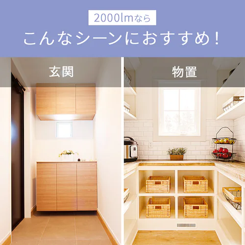 ���^�V�[�����O 2000lm �d���F �l���L�� SCL20L-MS-H_3