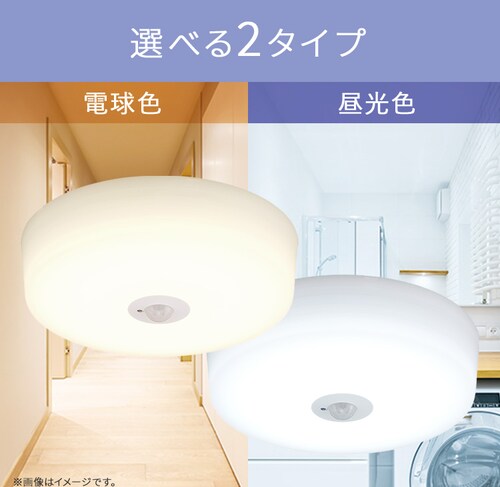 ���^�V�[�����O 2000lm �d���F �l���L�� SCL20L-MS-H_4