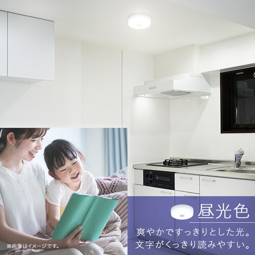 ���^�V�[�����O 2000lm �d���F �l���L�� SCL20L-MS-H_6