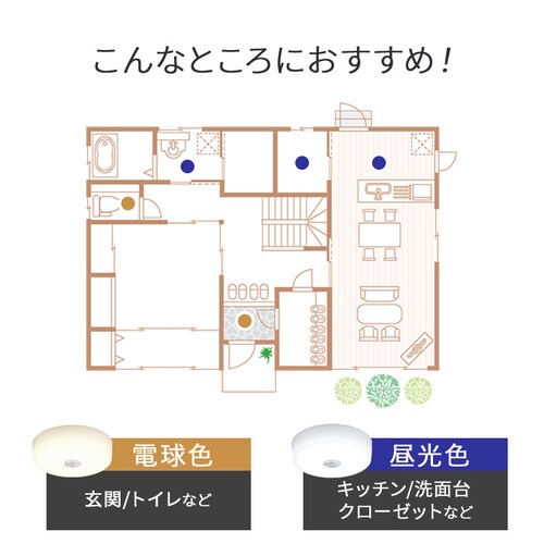 ���^�V�[�����O 2000lm �d���F �l���L�� SCL20L-MS-H_7