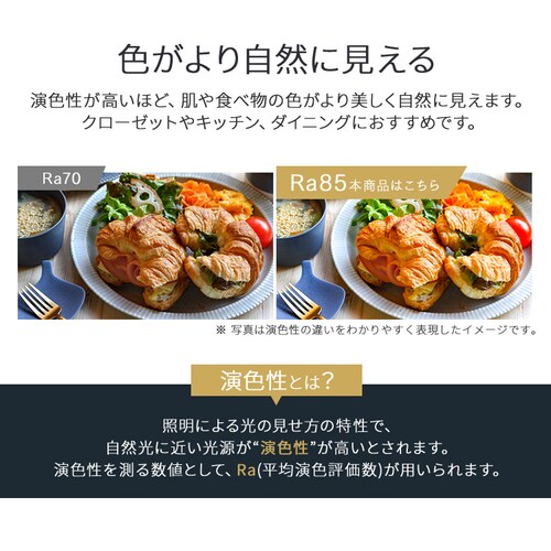 ���^�V�[�����O 2000lm �d���F �l���L�� SCL20L-MS-H_8