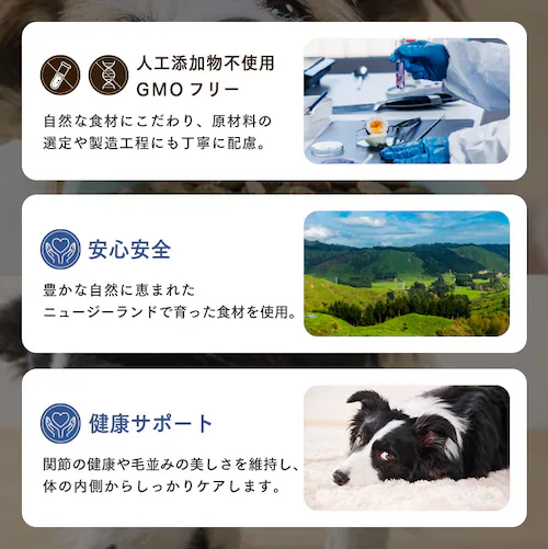 食物アレルギーに配慮 【3個セット】大地のレシピ 成犬用 DRD-R1K ラム1kg ニュージーランド産厳選素材使用 獣医師監修 プレミアムフード_8