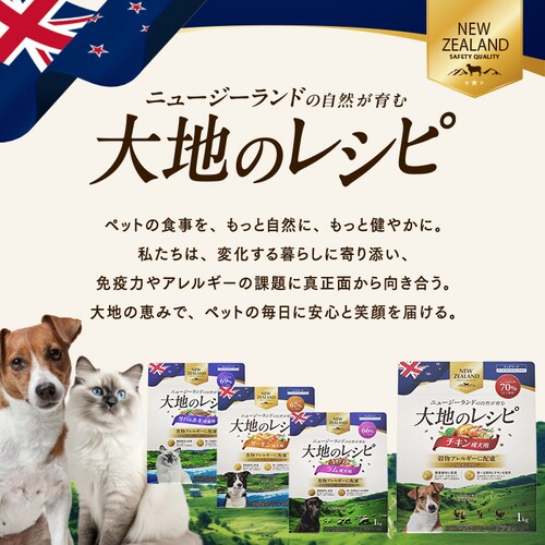 �y3�Z�b�g�z��n�̃��V�s �����p DRD-C1K �`�L��1kg_14