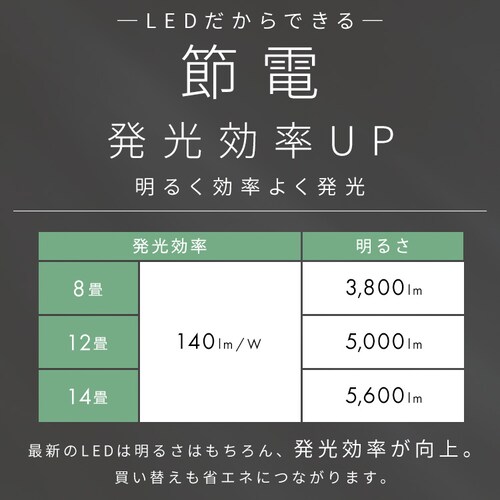 LED�V�[�����O���C�g ���ߓd�^�C�v 14�� �������F �E�b�h�t���[�� CEA14DL-7.0WFM �E�H�[���i�b�g�y�O�����s�z�y������s�z�y�����s�z_4