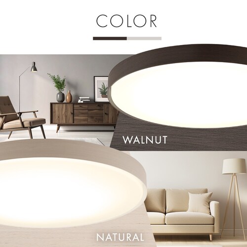 LED�V�[�����O���C�g ���ߓd�^�C�v 14�� �������F �E�b�h�t���[�� CEA14DL-7.0WFU �i�`�������y�O�����s�z�y������s�z�y�����s�z_14