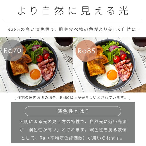 LED�V�[�����O���C�g 8�� �������F CEK8DL-7.0SFH �����^���O���[_8