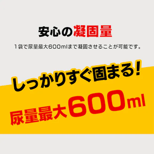 ���p�g�уg�C�� 9�� HKS-3P_4